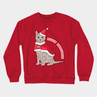 Cats wearing Christmas gear Crewneck Sweatshirt